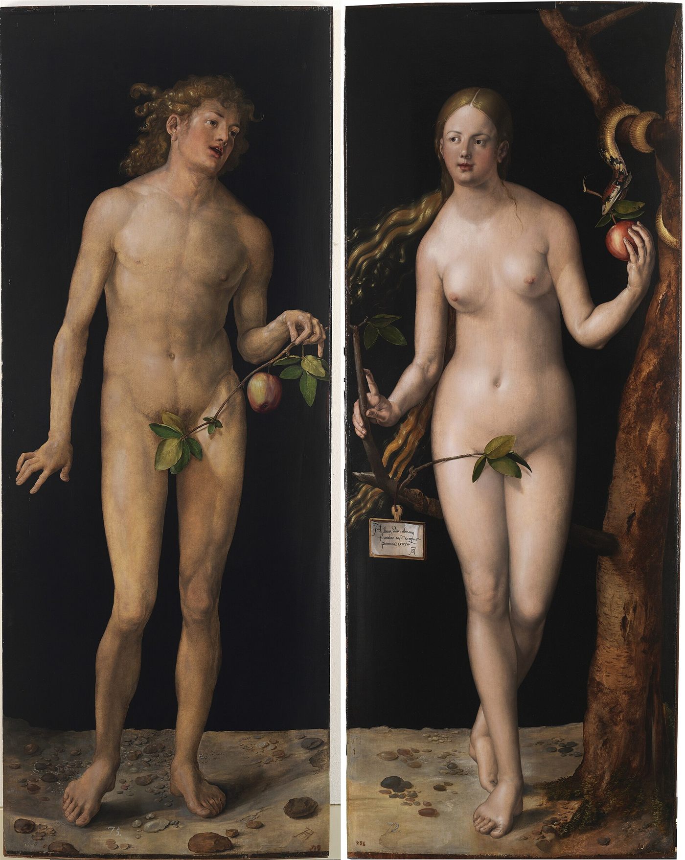 Adão e Eva, por Albrecht Dürer