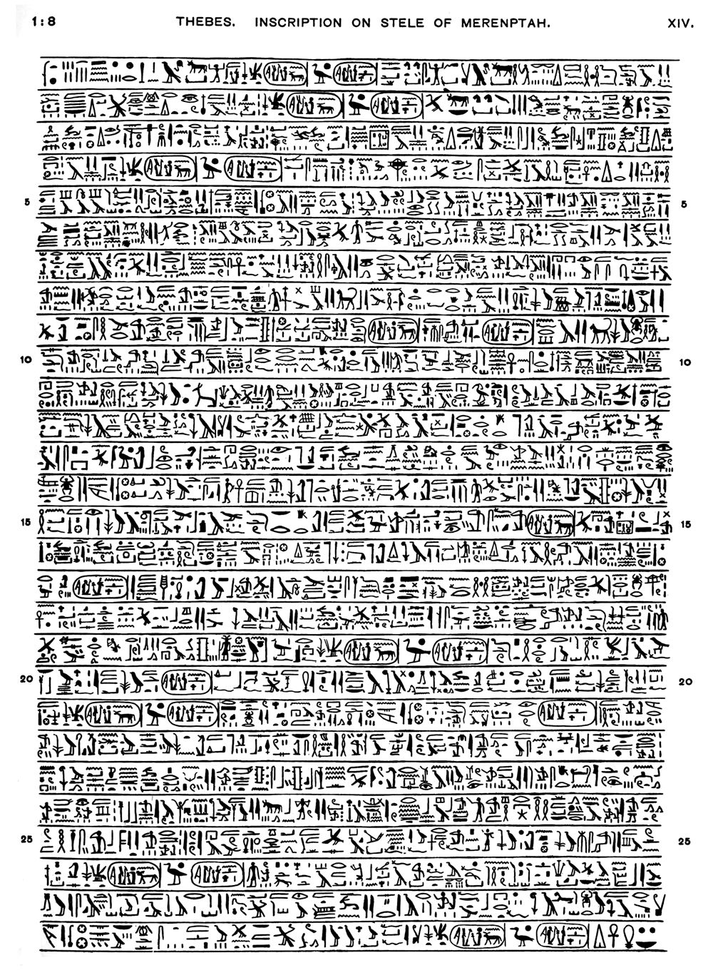 Transcrição em hieróglifos da inscrição da Estela de Merneptá, prancha de Petrie