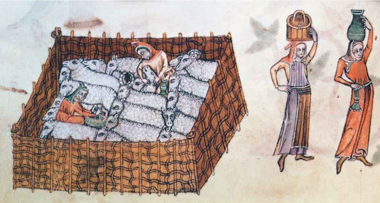 Miniatura medieval em cores: um redil de vime com ovelhas e dois pastores, e à direita duas mulheres de pé, uma com um cesto e outra com um jarro na cabeça