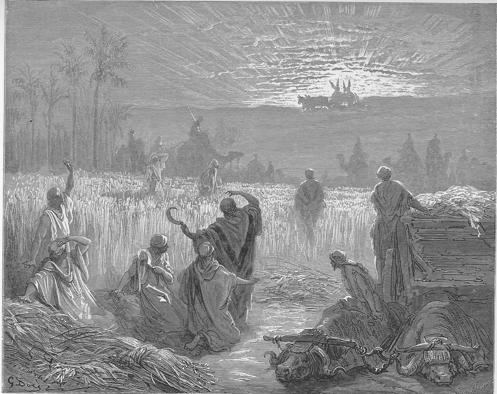 O carro com a arca chega ao campo de Bete-Semes enquanto os lavradores olham; gravura de Gustave Doré