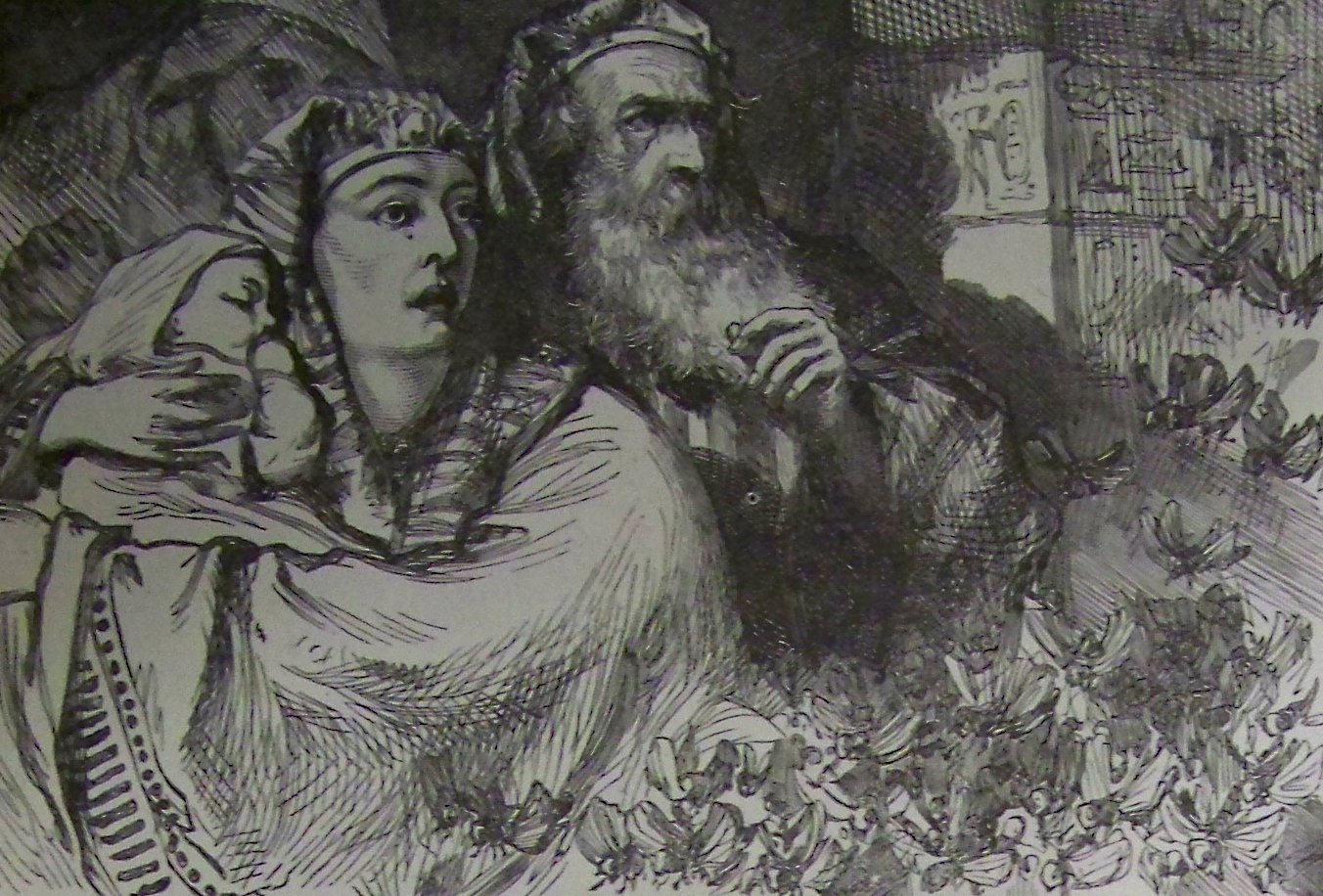 A praga de gafanhotos sobre a terra, gravura da Holman Bible