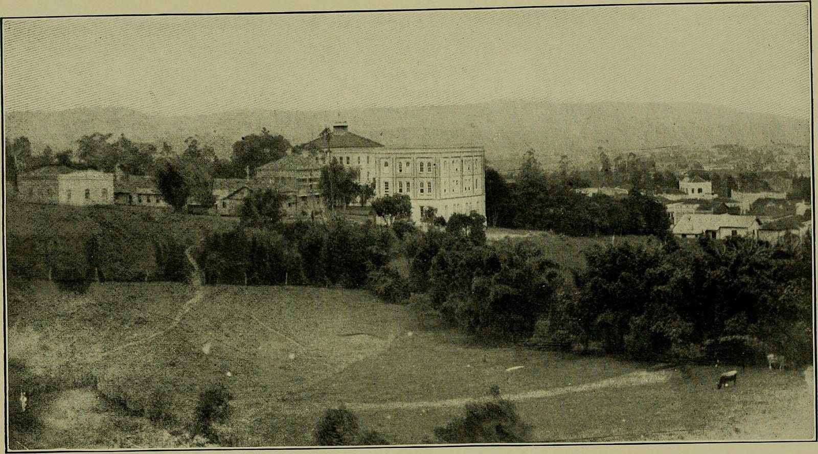 Fotografia antiga de um grande edifício de três andares numa colina, com árvores e casas baixas à volta e um campo com uma vaca em primeiro plano