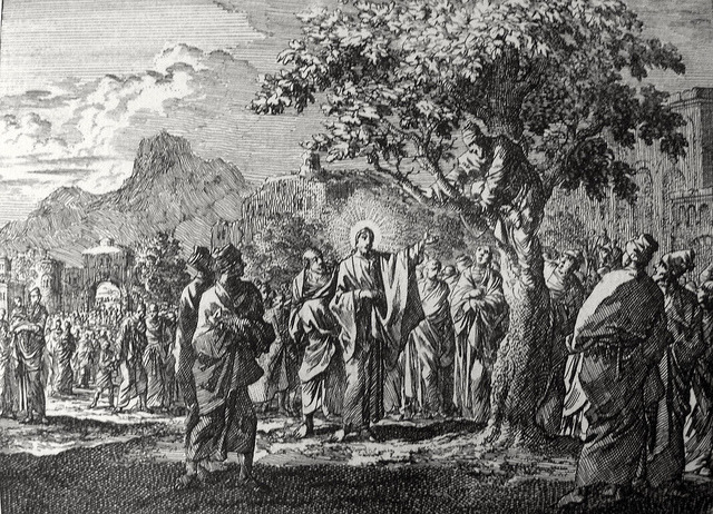 Jesus chama Zaqueu, gravura de Jan Luyken